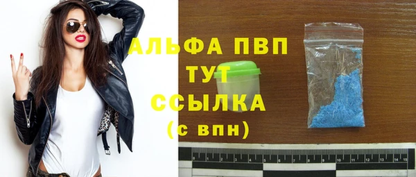 PSILOCYBIN Тутаев