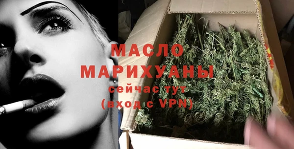 гидра Верхний Тагил